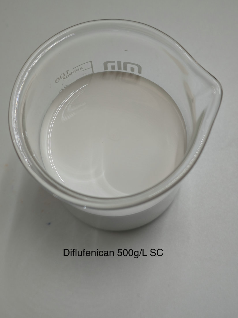 Diflufenican 500g/L SC